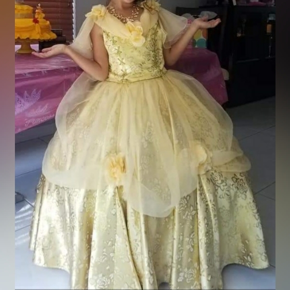 Chasing Fireflies Other - Disney Chasing Fireflies Belle Dress Costume